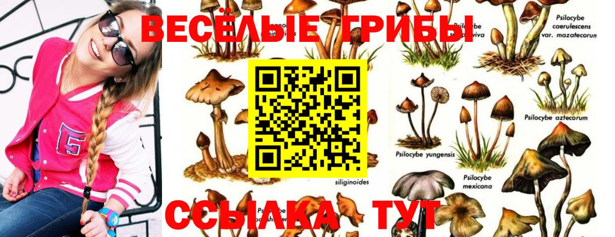 Королёв  Галлюциногенные грибы Cubensis  Псилоцибиновые грибы Psilocybe  Вход с VPN 